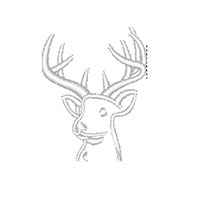 Shirt Embroidery Selection - Premium Custom Options