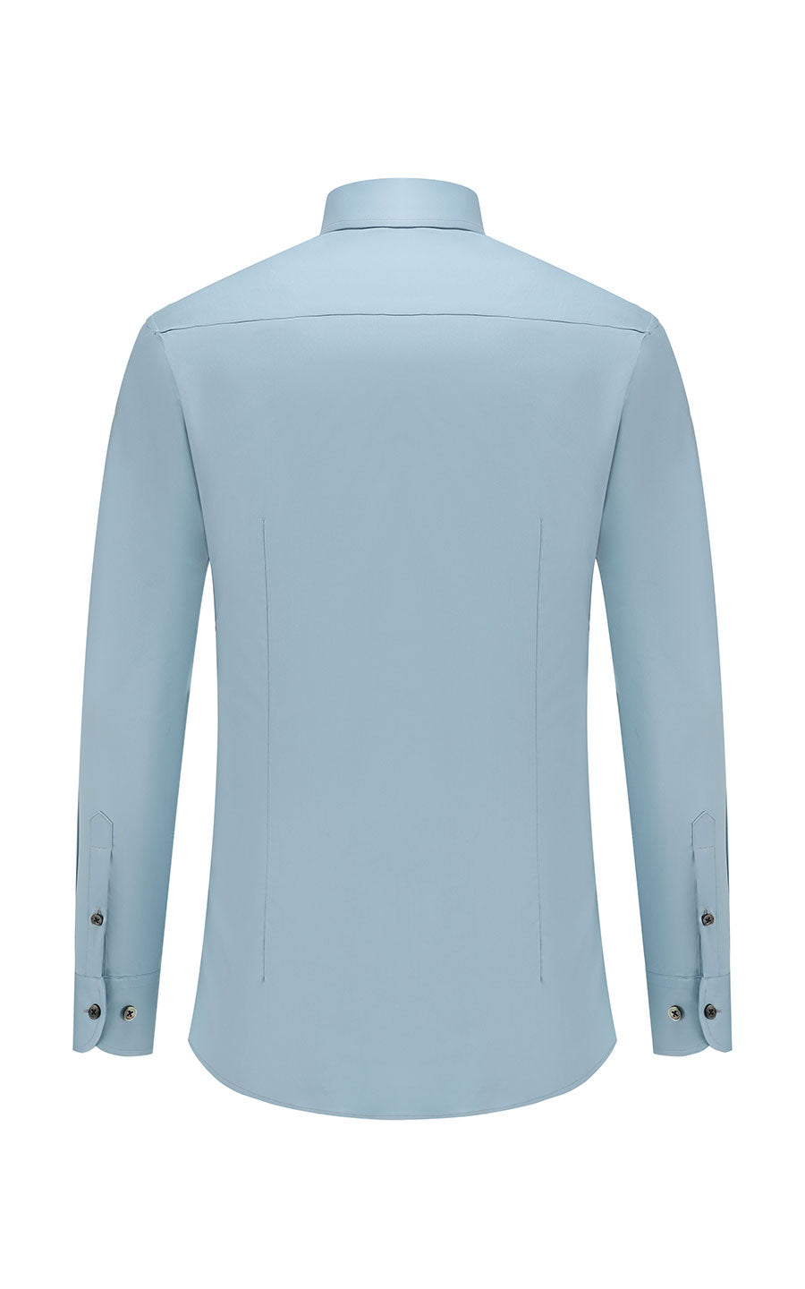 Custom Celadon Shirt Back View - SF Style WIAI