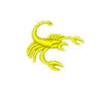 Shirt Embroidery Selection - Premium Custom Options