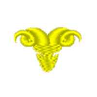 Shirt Embroidery Selection - Premium Custom Options